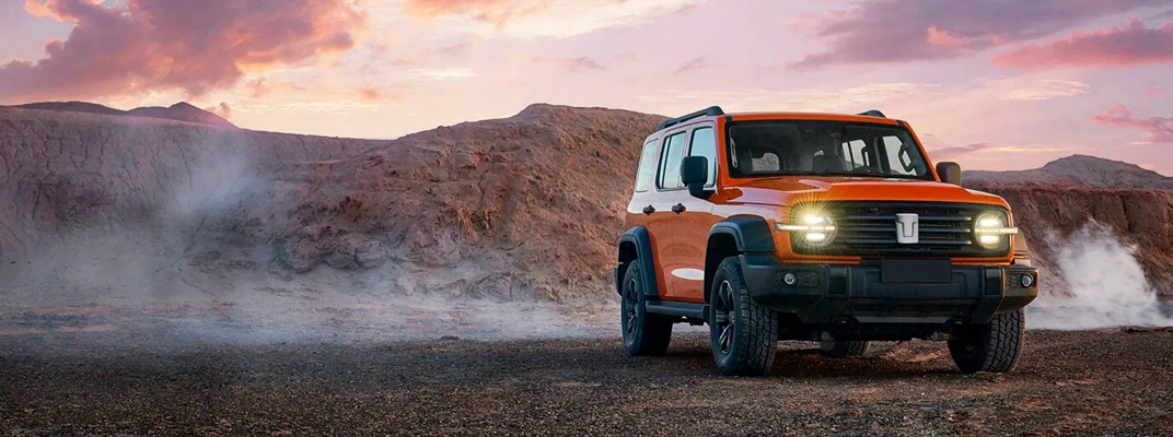 Купить Tank в Сургуте